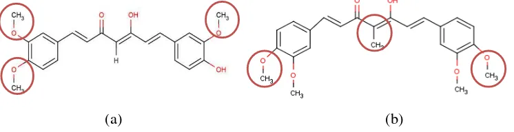 Gambar 6 Struktur (a) asam kaffeat (b) etodolak, dan (c) asam arakidonat 