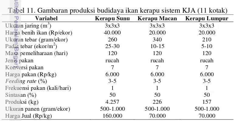 Tabel 11. Gambaran produksi budidaya ikan kerapu sistem KJA (11 kotak) 