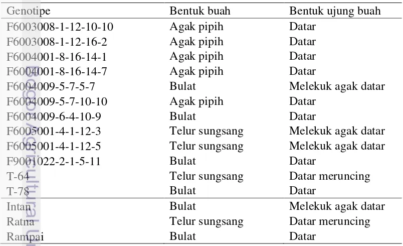 Tabel 4 Penampilan karakter kualitatif bentuk buah dan bentuk ujung buah pada genotipe yang diuji dan varietas pembanding 