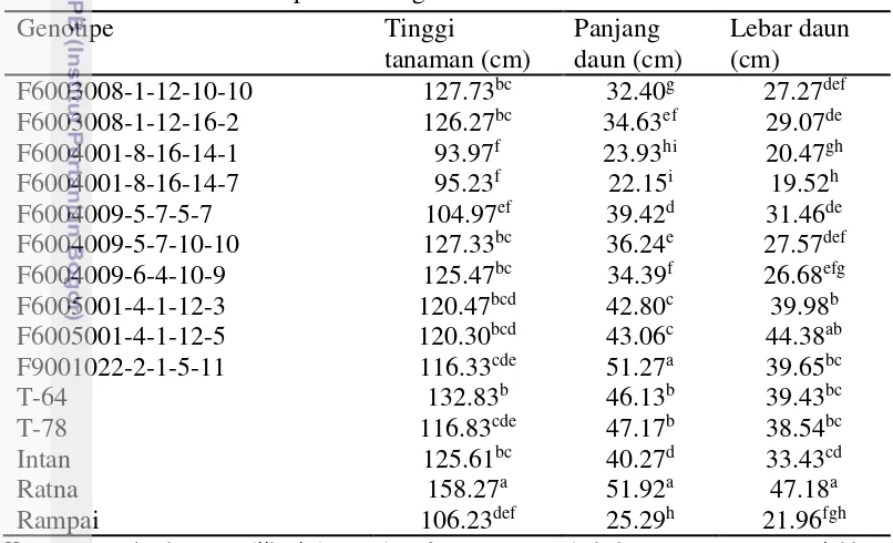 Tabel 6 Nilai tengah tinggi tanaman, panjang daun, dan lebar daun 12 genotipe 