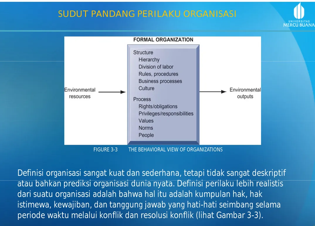 FIGURE 3-3         THE BEHAVIORAL VIEW OF ORGANIZATIONS