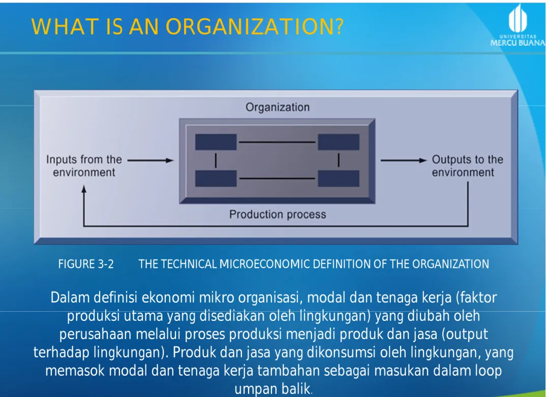 FIGURE 3-2         THE TECHNICAL MICROECONOMIC DEFINITION OF THE ORGANIZATION