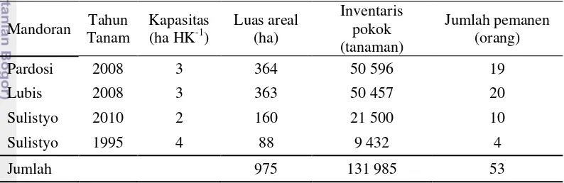 Tabel 6 Luas areal dan jumlah pemanen di Afdeling III Adolina 