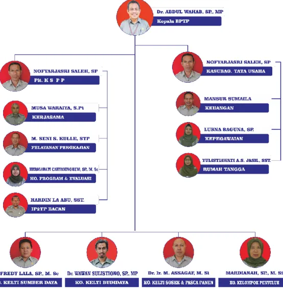 Gambar 1.1. Struktur Organisasi BPTP Maluku Utara Tahun 2020 