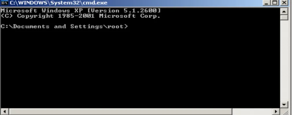 Gambar 3.12 Tampilan MS DOS 