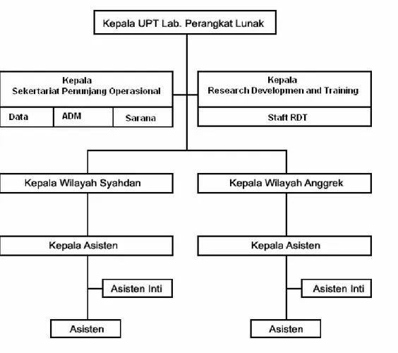 Gambar 1.  Struktur Organisasi lab software kampus Syahdan 