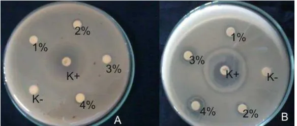 Tabel 2. Hasil uji aktivitas antibakteri rimpang temu putih dan kulit kayu lawang terhadap S.aureus sensitif 