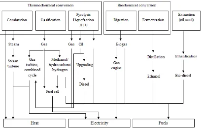 Figure 1.1: Biomass to energy conversion patterns. 