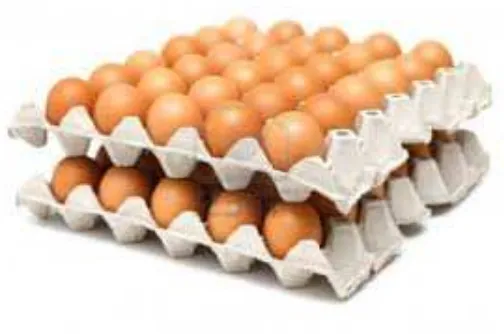 Figure 2.2 : Egg tray 