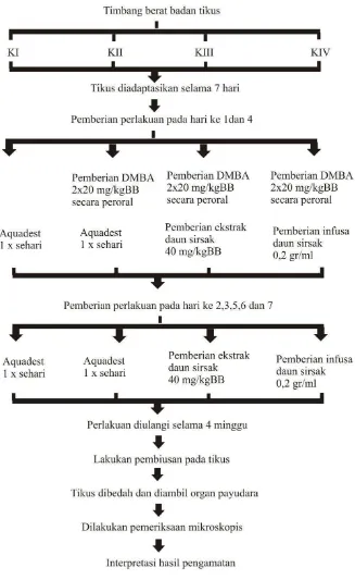 Gambar 3. Diagram Alur Penelitian 