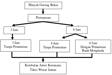 Gambar 2. Kerangka Konsep 