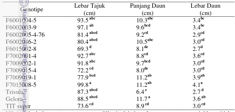 Tabel 3  Lebar tajuk, panjang daun dan lebar daun tanaman pada sepuluh galur 