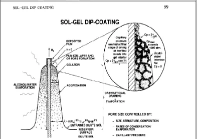 Figure 2.3: Dip-coating mechanism 