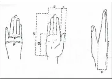 Gambar 2.2 Anthropometri Tangan (Sumber: Liliana, dkk, 2007) Keterangan Gambar 2.2: