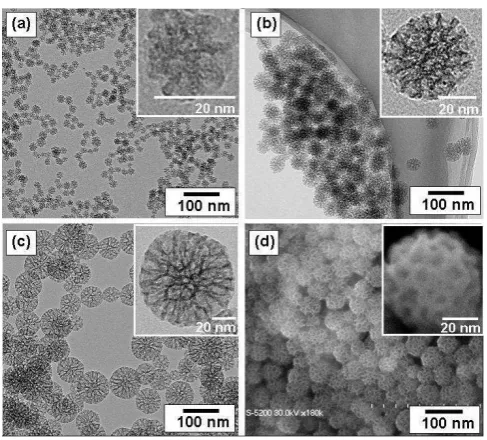 Figure 2. 1 : (a) 20 nm of diameter nanoparticle, (b) 45 nm of diameter nanoparticle, (c) 80 nm of diameter nanoparticle, (d) image corresponding to (b) [10]
