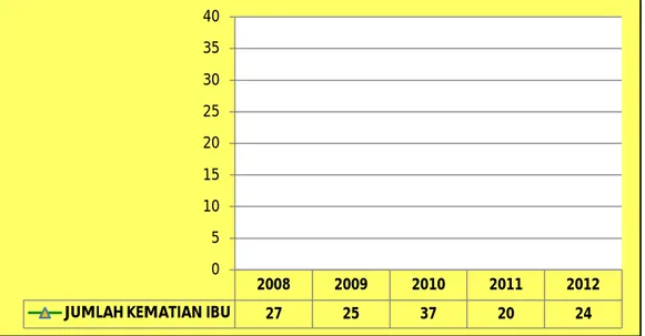 Grafik  berikut  ini  menunjukan  jumlah  kematian  balita  di  Kota Bandung selama 5 tahun terakhir