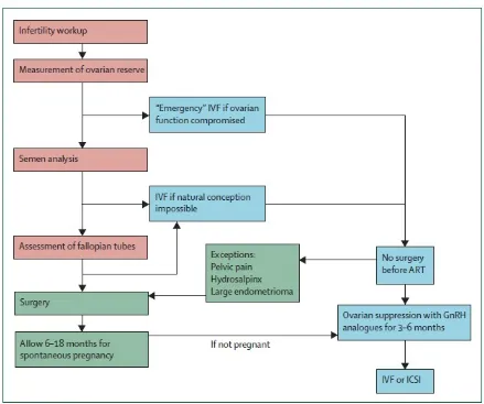 Gambar 1. Algoritma penanganan infertilitas terkait endometriosis (de