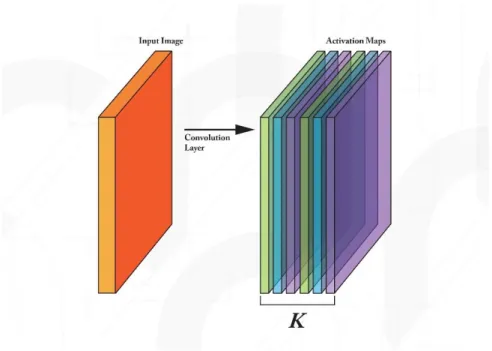 Gambar 2.6 Hasil Convolutional Layer  4.  Membuat Pooling Layer 
