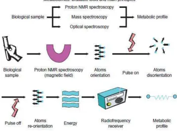 Gambar 8.  Langkah-Langkah spektroskopi NMR dalam memberikan Interpretasi Profil Metabolit Plasma Darah (18) 