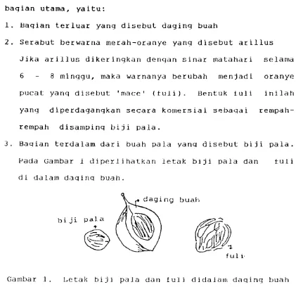 Gambar 1. Letak biji pala dan fuli didalaln daqing buah 