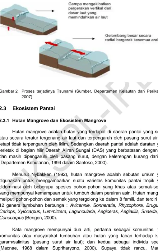 Gambar 2  Proses  terjadinya  Tsunami  (Sumber,  Departemen  Kelautan  dan  Perikanan,  2007) 