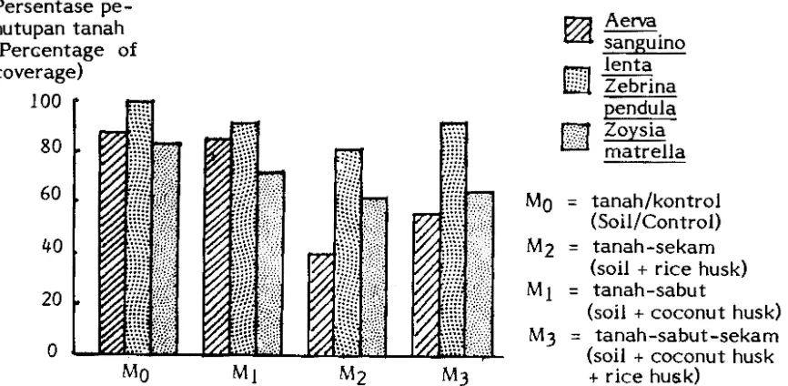 Gambar 1. Persentase Penutupan Tanah Tanaman Hias pada Berbagai Media Ringan (Figure  1. Percentage of Coverage of Ornamentals Grown on Different Ught Media) 