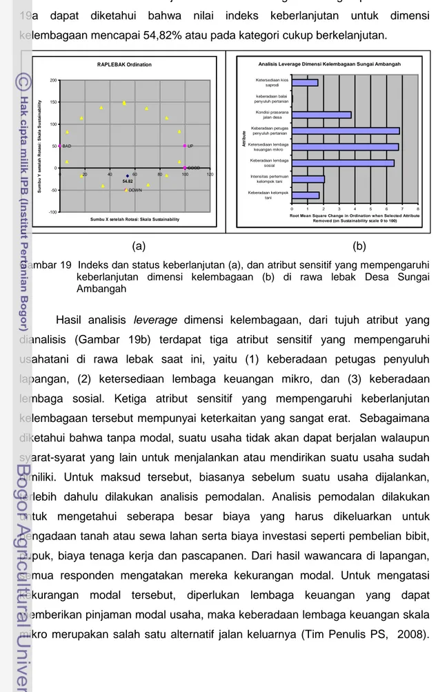 Gambar 19  Indeks dan status keberlanjutan (a), dan atribut sensitif yang mempengaruhi  keberlanjutan  dimensi  kelembagaan  (b)  di  rawa  lebak  Desa  Sungai  Ambangah 