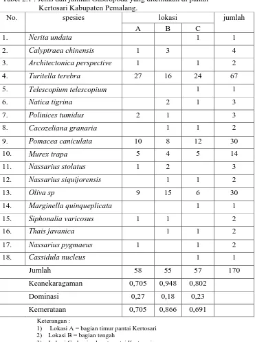 Tabel 2.1 : Jenis dan jumlah Gastropoda yang ditemukan di pantai Kertosari Kabupaten Pemalang