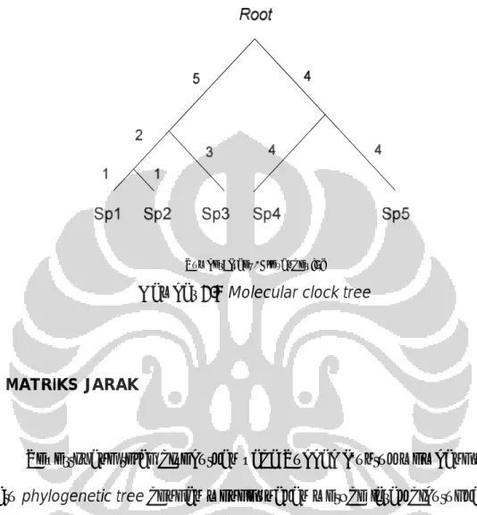 Gambar 2.4 Molecular clock tree 