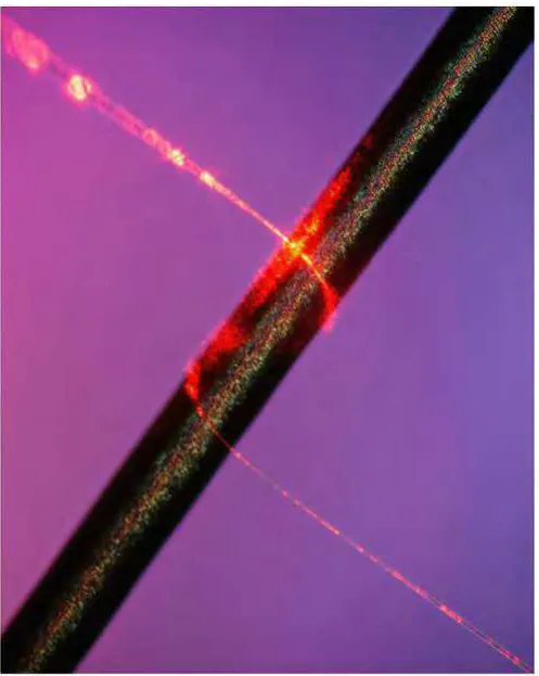 Figure 2.1: Optical Microscope Image of 500-Nm-Diameter Silica MNF Guiding 
