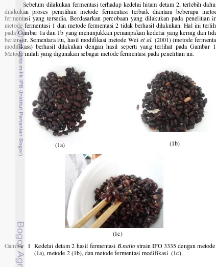 Gambar  1  Kedelai detam 2 hasil fermentasi B.natto strain IFO 3335 dengan metode 1 