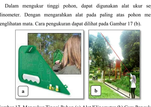 Gambar 17. Mengukur Tinggi Pohon (a) Alat Klinometer (b) Cara Pengukuran  Tinggi pohon (feet) didapat dari penjumlahan jarak ukur dari pohon (D)  dengan tinggi permukaan hingga setingkat mata (H)