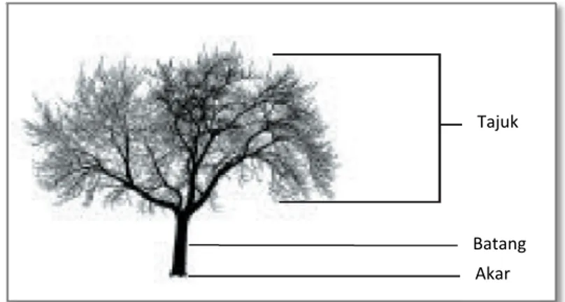 Gambar 18. Bagian Penilaian Kesehatan Pohon  e.  Kondisi pertumbuhan pohon 