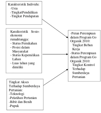 Gambar 1. Kerangka Analisis Peran dan Status Perempuan petani padi dalam Program  Pertanian Go Organik di Kabupaten Bogor 