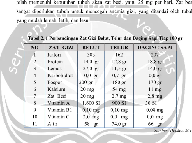 Tabel 2. 1 Perbandingan Zat Gizi Belut, Telur dan Daging Sapi Tiap 100 gr  NO  ZAT  GIZI  BELUT  TELUR  DAGING SAPI 