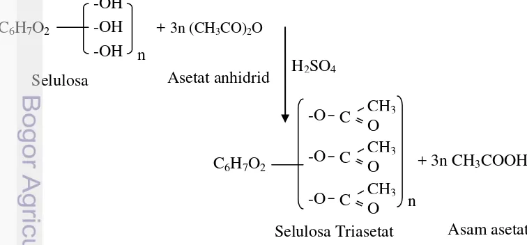 Gambar 2 Mekanisme reaksi asetilasi (Rosnelly et al. 2009) 
