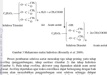 Gambar 3 Mekanisme reaksi hidrolisis (Rosnelly et al. 2009). 