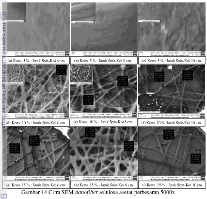 Gambar 14 Citra SEM nanofiber selulosa asetat perbesaran 5000x 