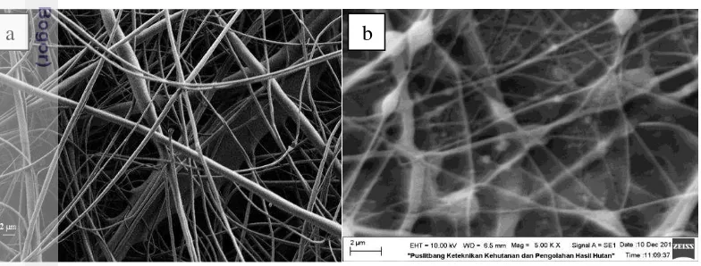 Gambar 15 Citra  Nanofiber perbesaran 5000x pada selulosa asetat (a) komersial 