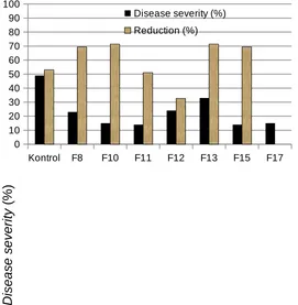 Figure 1. The effect of treatment with Penicillium spp. in  supressing diseaseseverity of Rhizoctonia damping-off of chili caused by Rhizoctoniasolani Kuhn