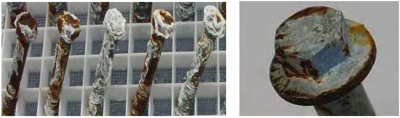 Figure  2.3  :  Corrosion in metal after Salt Fog Tested 