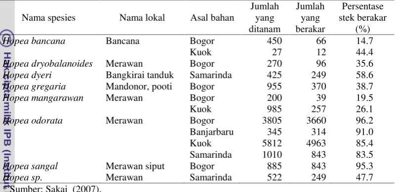 Tabel 6  Persentase stek berakar berbagai spesies Hopea*