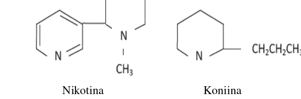 Gambar 3 Struktur kimia alkaloid (Sumber: Robinson 1991) 