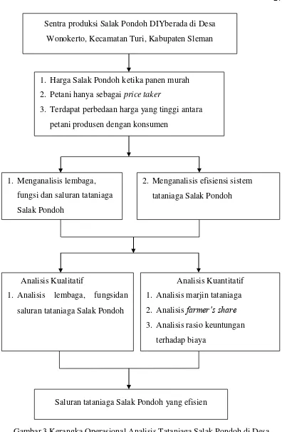 Gambar 3 Kerangka Operasional Analisis Tataniaga Salak Pondoh di Desa 