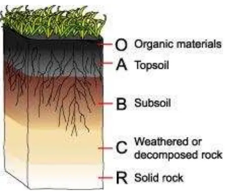 Figure 2.1 Layer of soil [4] 