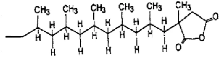 Gambar 2.7 Struktur zat penyerasi dari  PP-g-MA. 