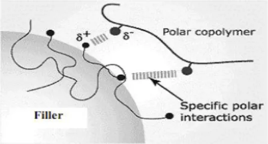 Gambar 2.8 Mekanisme kerja fungsionalisasi dari polar PP-g-MA      Struktur  kimia  dari  grafted  PP  memainkan  satu  peranan  penting  dalam  kinerja sebagai sebuah agen kopling
