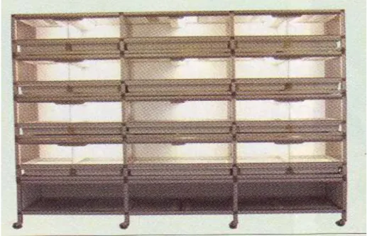 Gambar 6. Vivaria_ular 