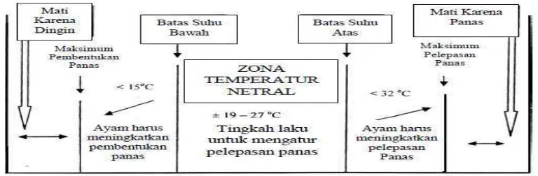 Gambar 1  Diagram zona suhu nyaman (thermonetral zone) pada broilerSumber : Kuczynski (2002)