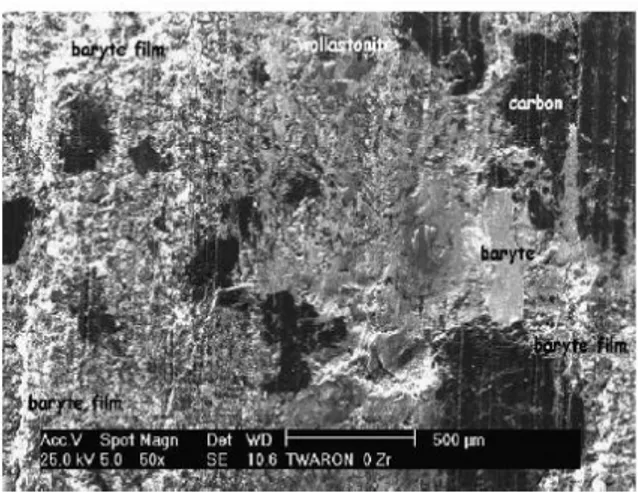 Gambar 2.8 Citra SEM dari permukaan gesekan dari sampel Zr-O pada  350C, menunjukkan distribusi film barit dan fasa-fasa lain (Ma et al., 2007)